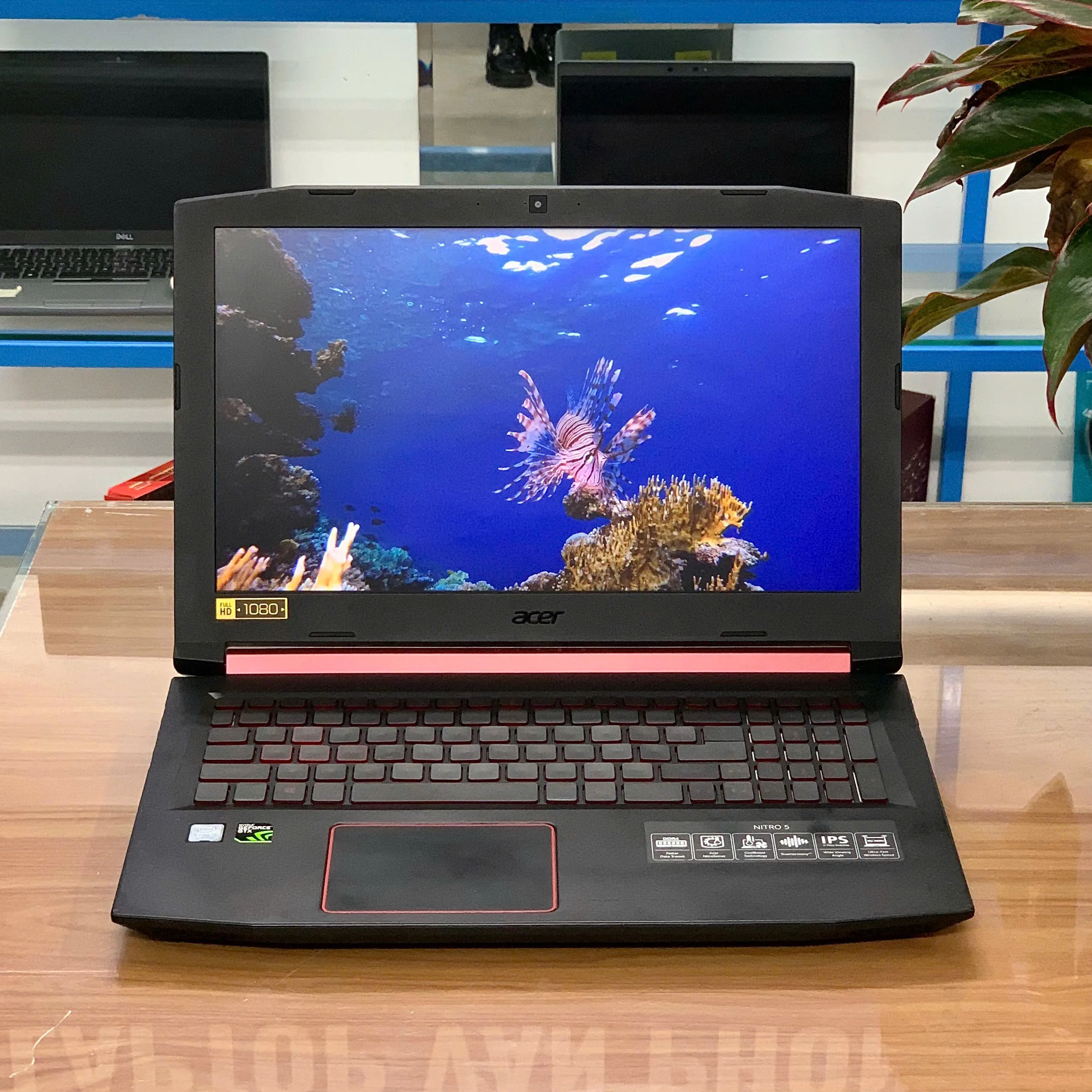 Laptop Cũ/ Acer Nitro 5 AN515-52/ Core i5 8300H/ Ram 16GB, SSD 256GB/ GTX1050TI 4G/ FHD